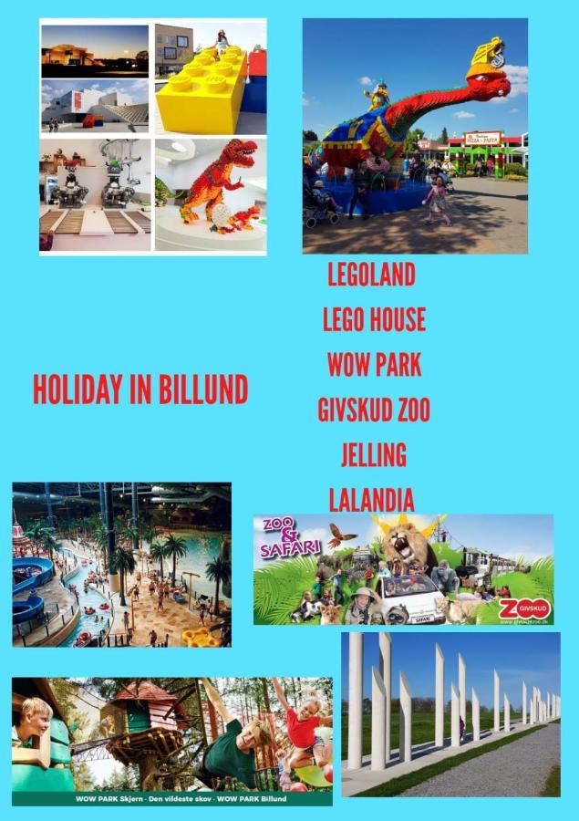 300 Meter Walk To Lego House - Door 9 Apartment บิลลุนด์ ภายนอก รูปภาพ
